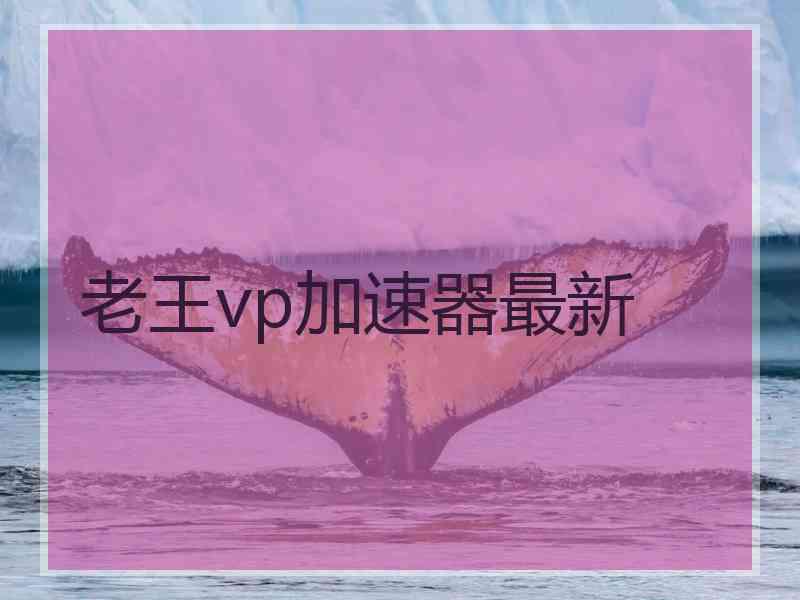 老王vp加速器最新