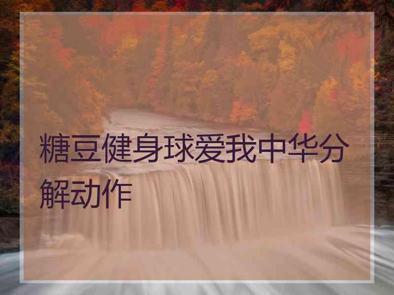 糖豆健身球爱我中华分解动作
