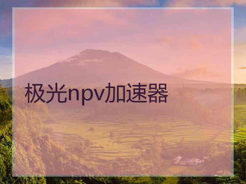 极光npv加速器