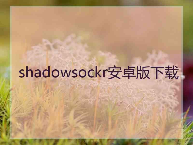 shadowsockr安卓版下载
