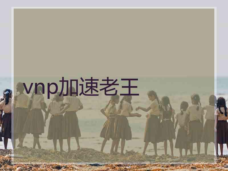 vnp加速老王