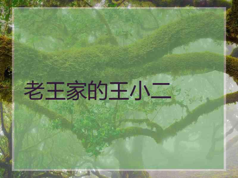 老王家的王小二