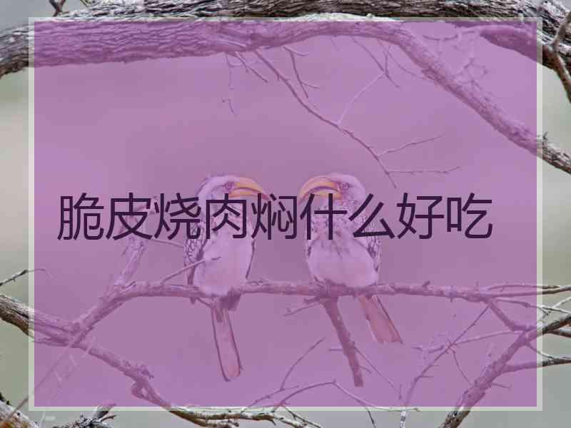 脆皮烧肉焖什么好吃