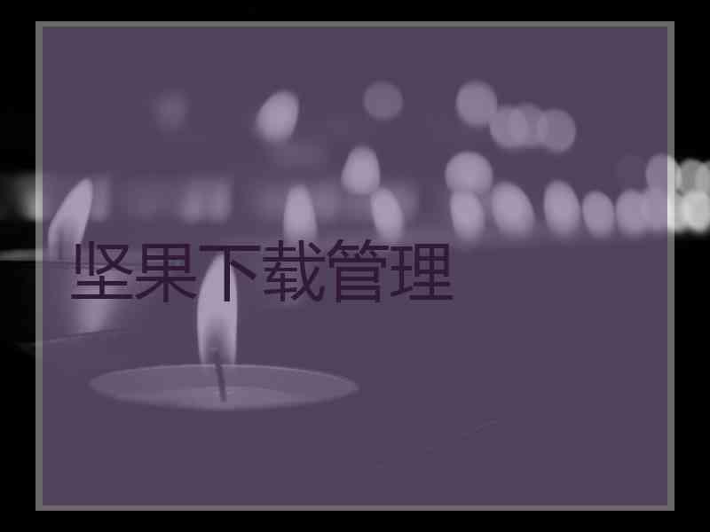 坚果下载管理