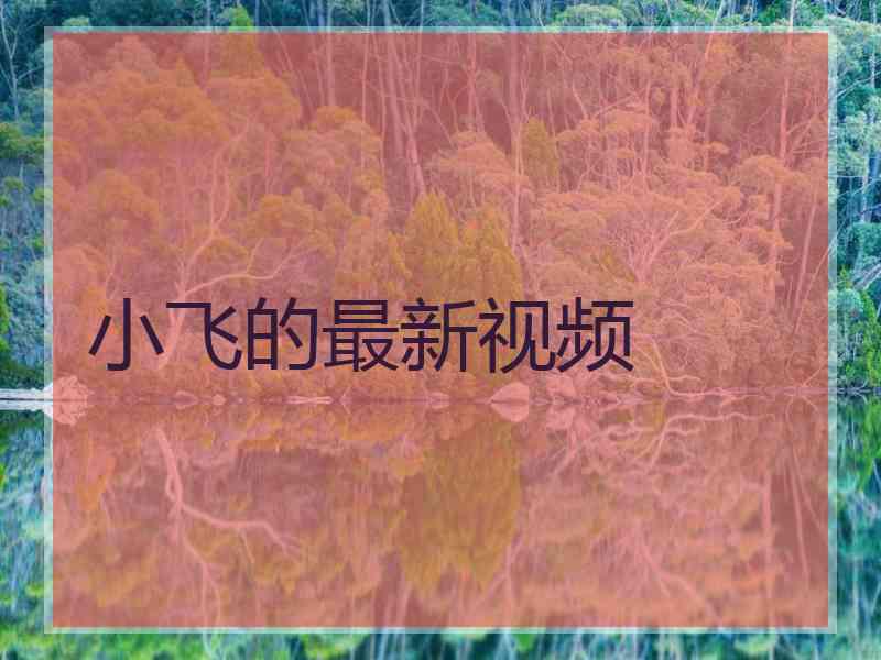 小飞的最新视频