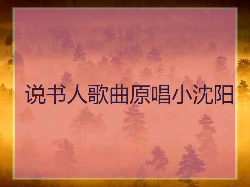 说书人歌曲原唱小沈阳