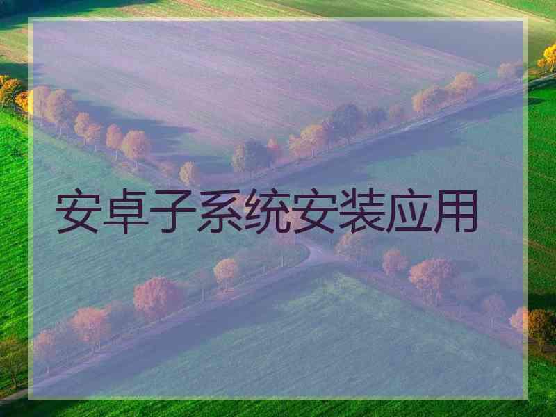 安卓子系统安装应用