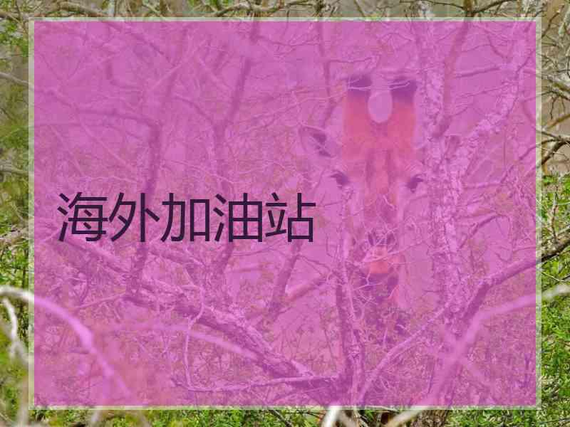 海外加油站