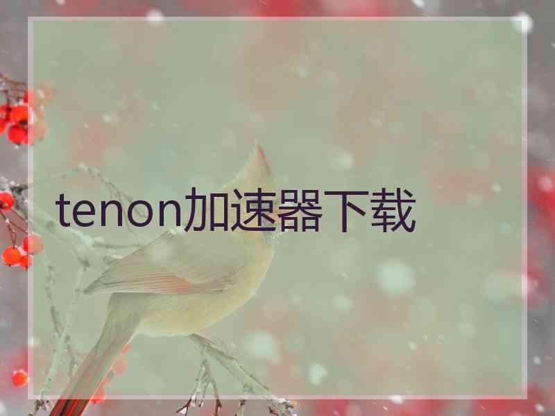 tenon加速器下载