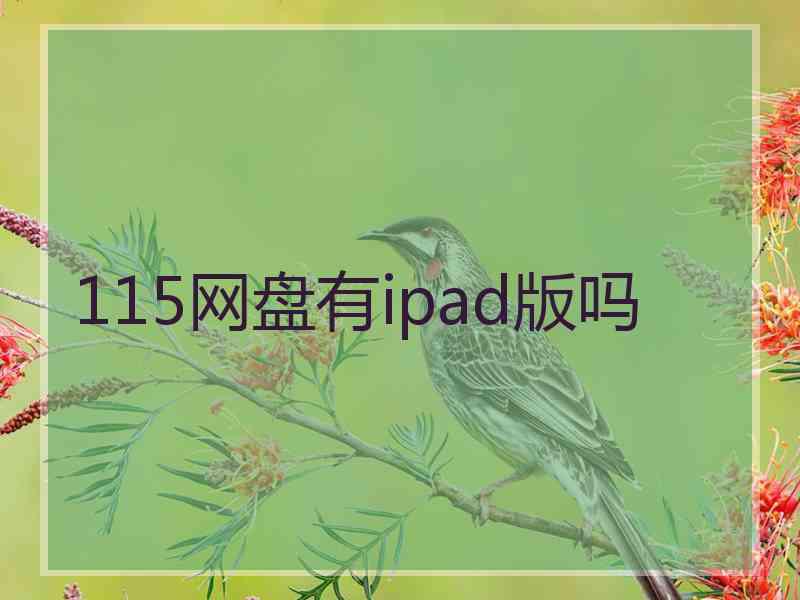 115网盘有ipad版吗