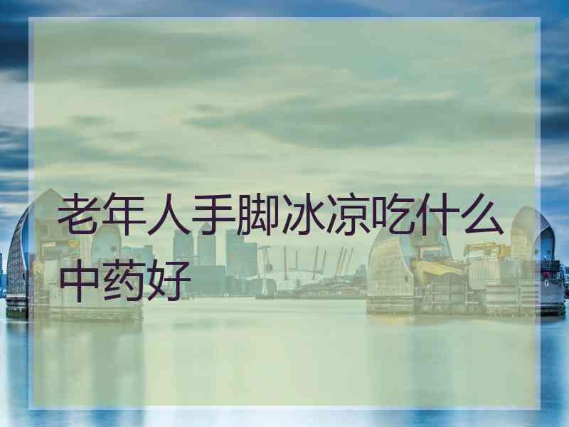 老年人手脚冰凉吃什么中药好