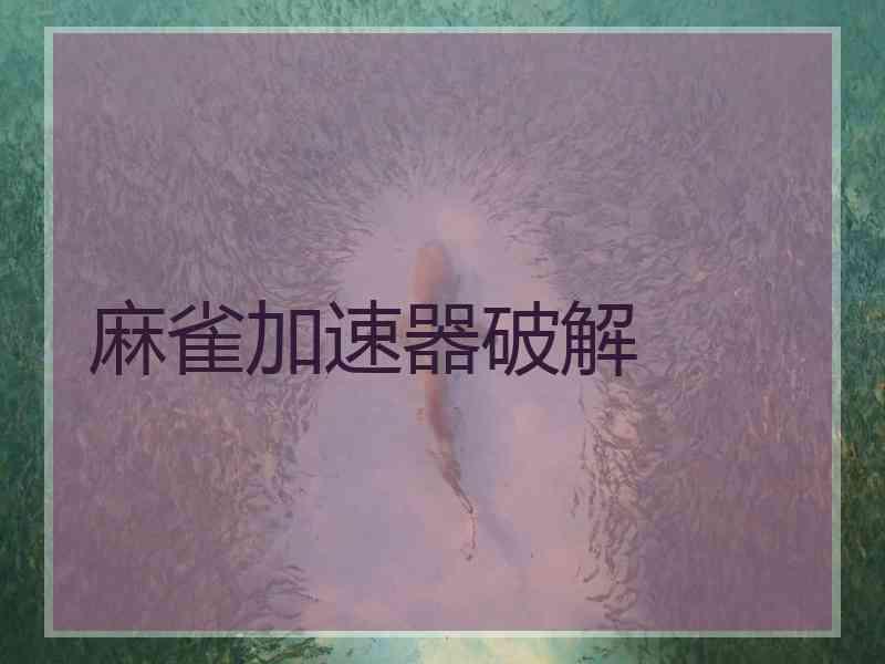 麻雀加速器破解
