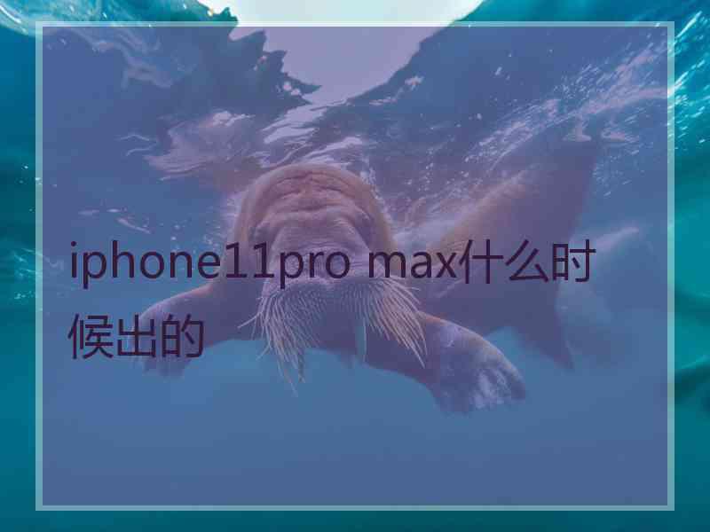 iphone11pro max什么时候出的