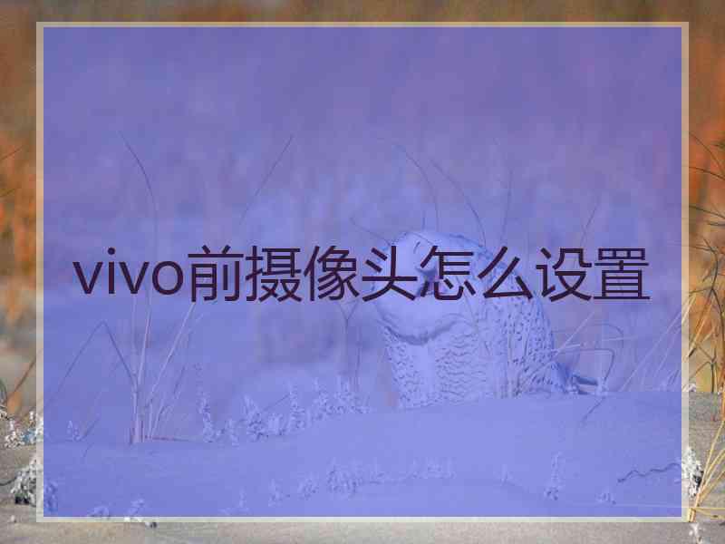 vivo前摄像头怎么设置