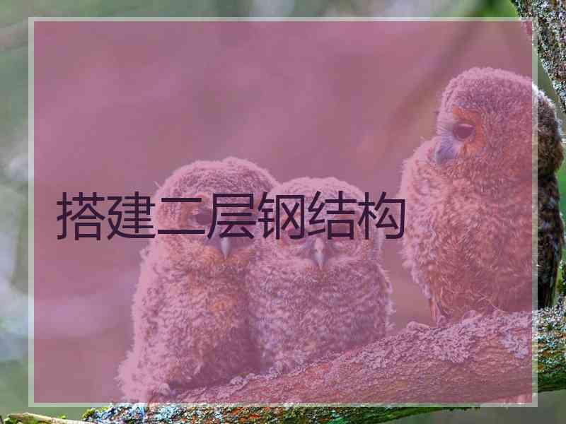 搭建二层钢结构