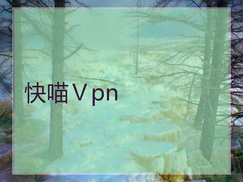快喵Ⅴpn