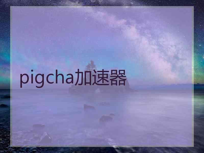 pigcha加速器
