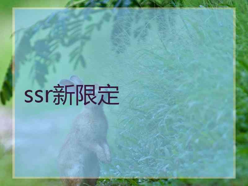 ssr新限定