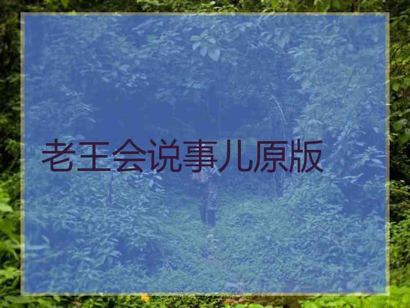 老王会说事儿原版